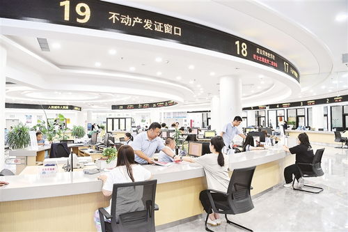 對話丨形成狠抓落實的好局面——聚焦物業管理（不含保安服務）